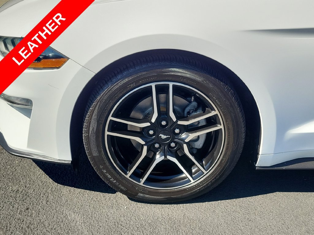 Used 2020 Ford Mustang Premium RWD image 6
