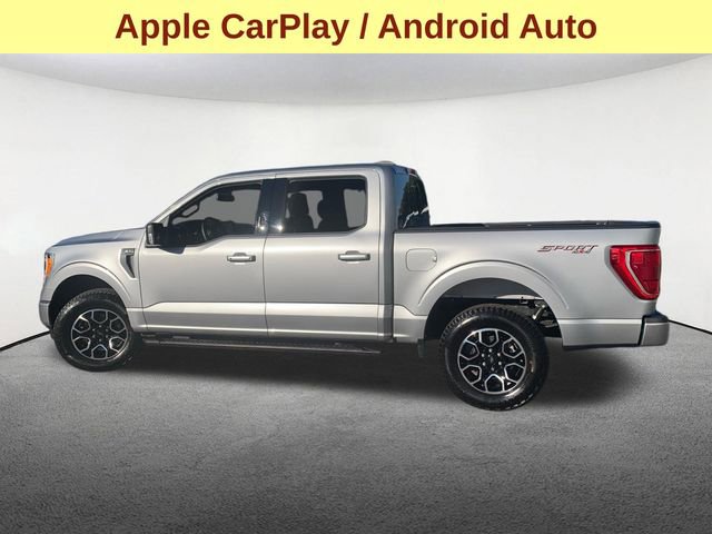 Used 2023 Ford F150 XLT w/ Equipment Group 302A High image 6