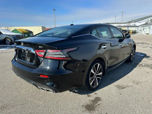 Used 2023 Nissan Maxima SV w/ Floor Mat Group image 6
