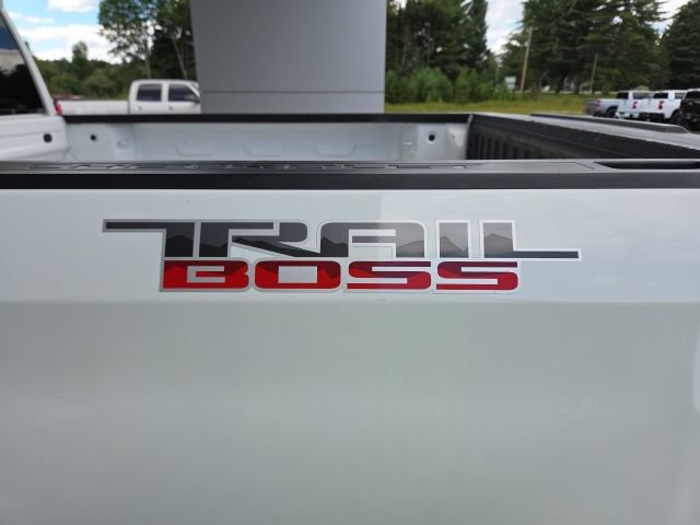 Used 2019 Chevrolet Silverado 1500 Custom Trail Boss w/ Custom Convenience Package AWD/4WD image 45