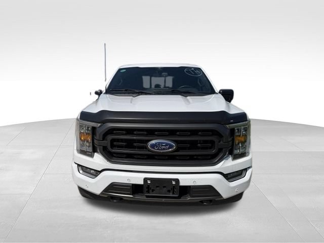 Used 2023 Ford F150 XLT w/ Equipment Group 302A High AWD/4WD image 2