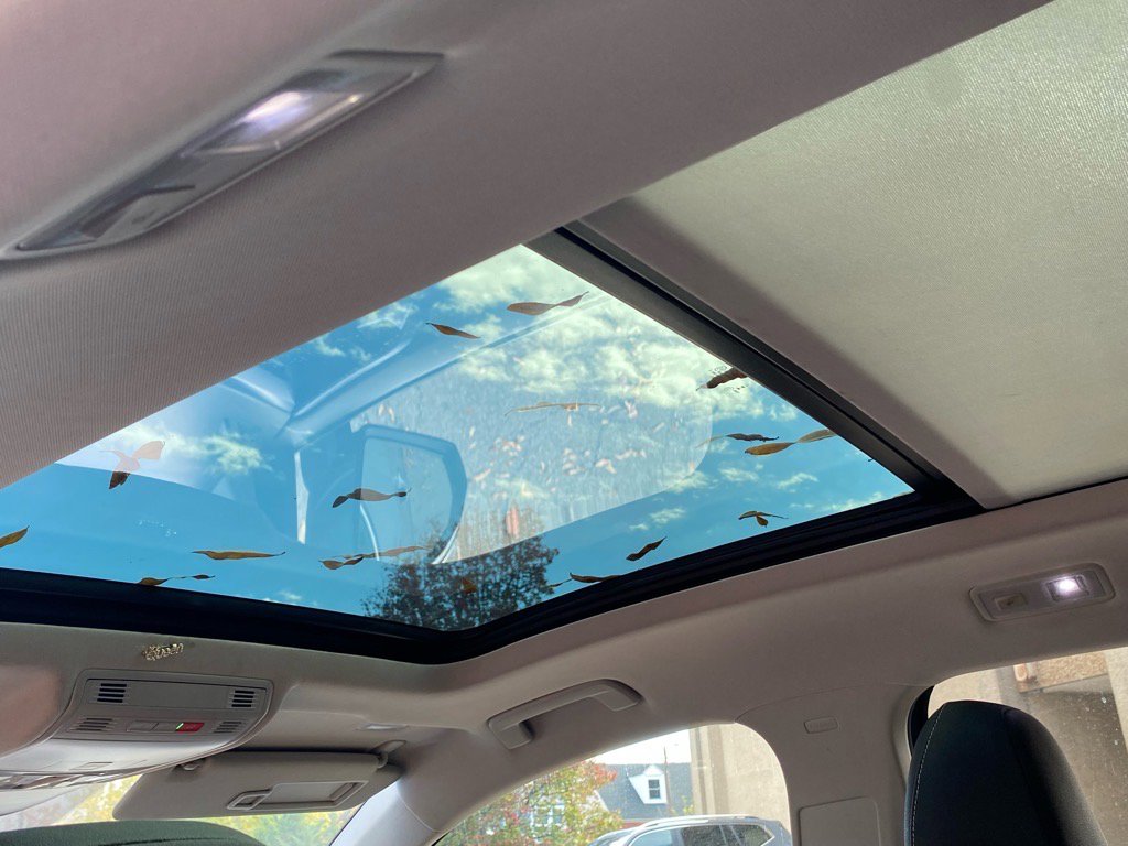 Certified 2023 Volkswagen Taos SE w/ Panoramic Sunroof Package image 19