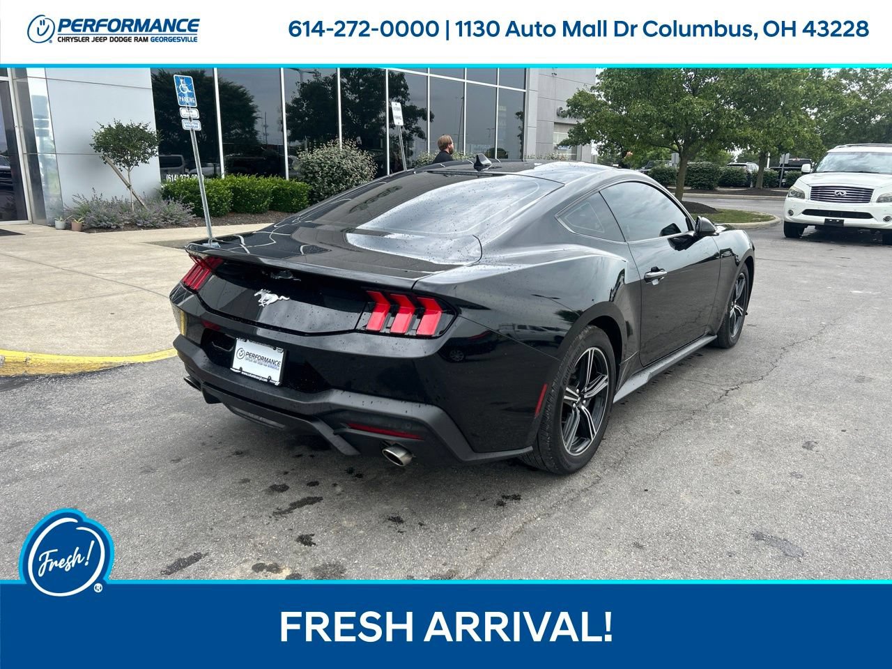 Used 2024 Ford Mustang Coupe RWD image 4