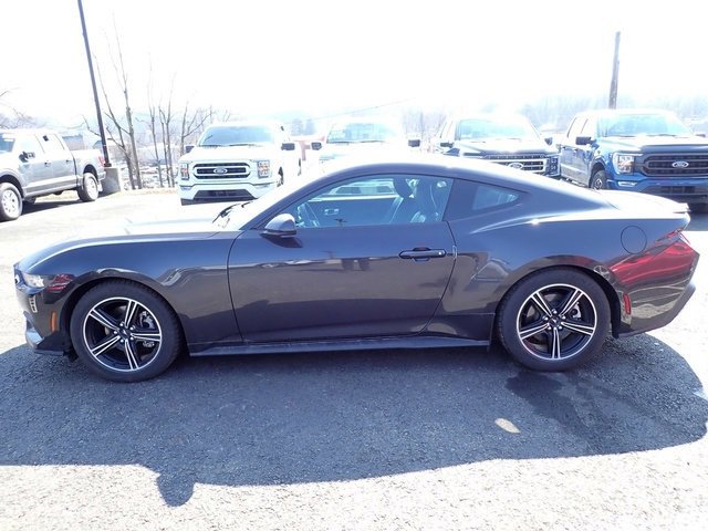 Used 2024 Ford Mustang Premium image 2