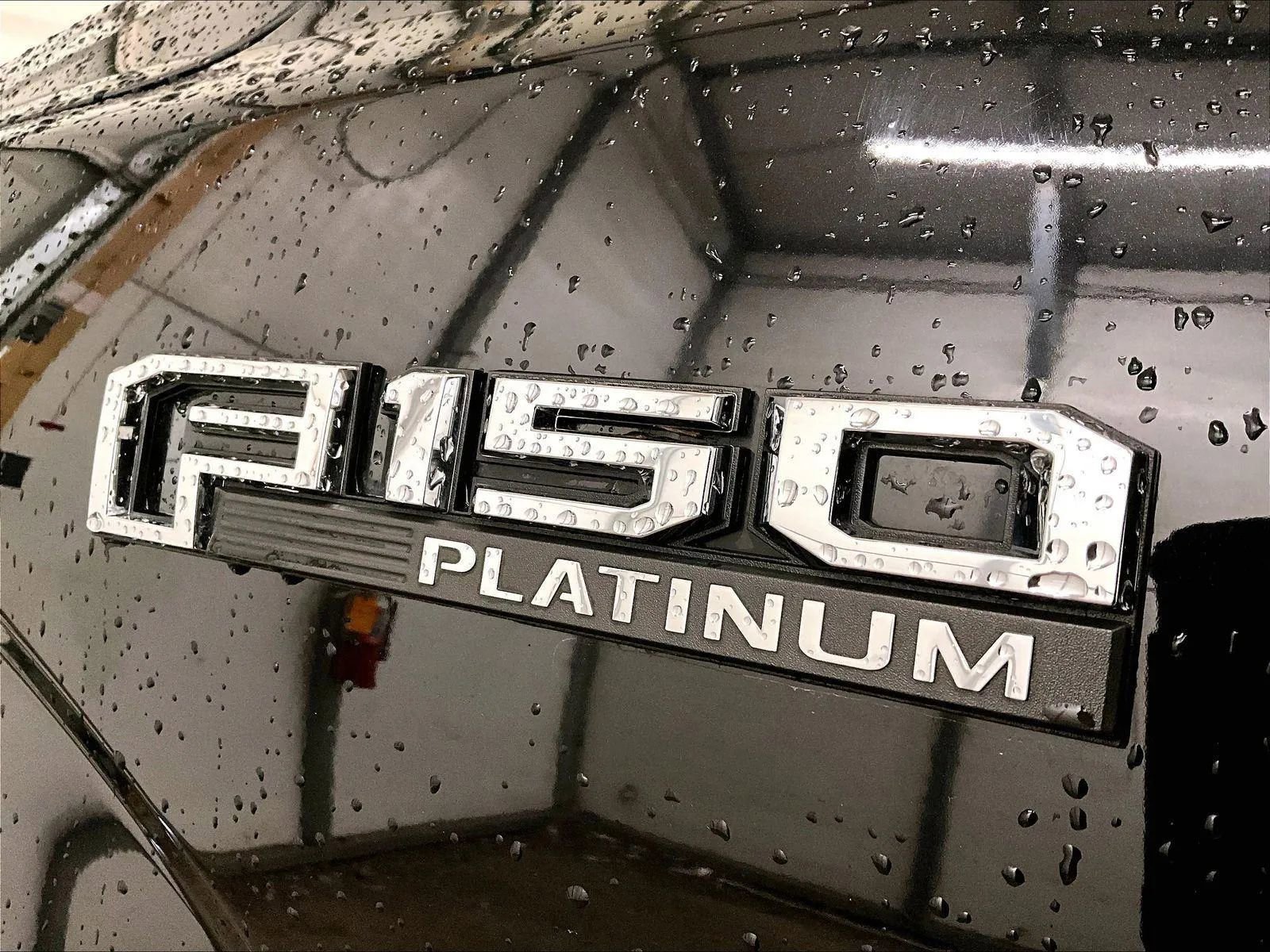 Certified 2019 Ford F150 Platinum w/ Equipment Group 701A Luxury image 13