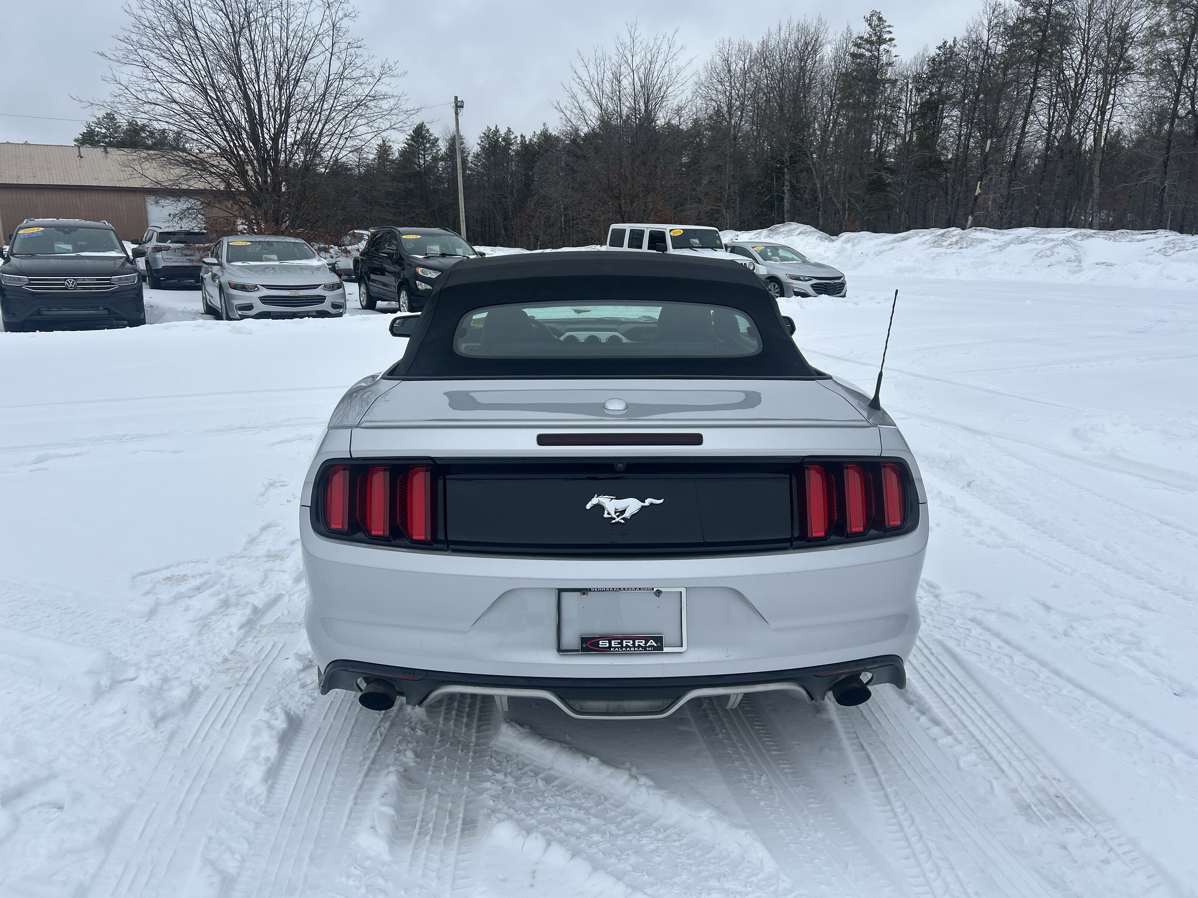 Used 2017 Ford Mustang Premium image 4