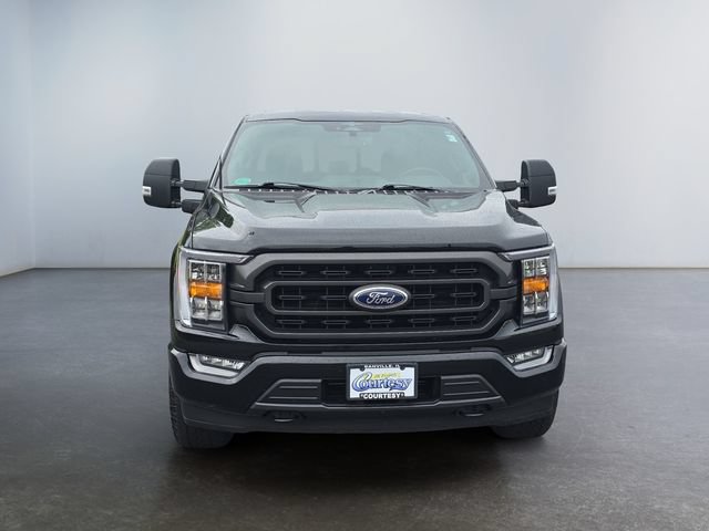 Used 2023 Ford F150 XLT w/ Equipment Group 302A High AWD/4WD image 8