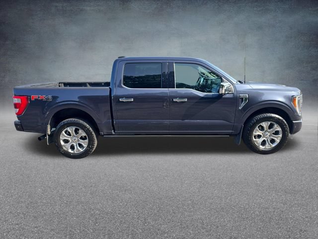 Used 2021 Ford F150 Platinum w/ Equipment Group 701A High AWD/4WD image 10