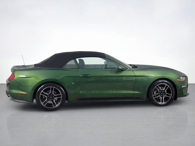 Certified 2023 Ford Mustang Premium image 2