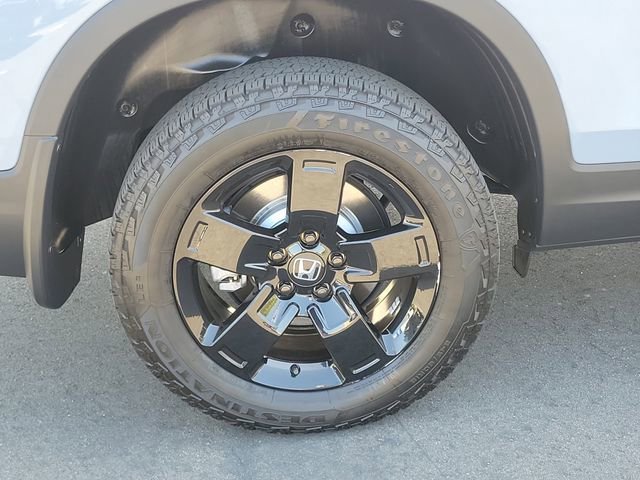 Certified 2025 Honda Ridgeline Black Edition image 6