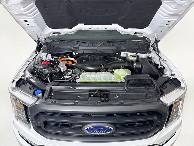 Used 2022 Ford F150 XLT w/ Equipment Group 302A High image 29