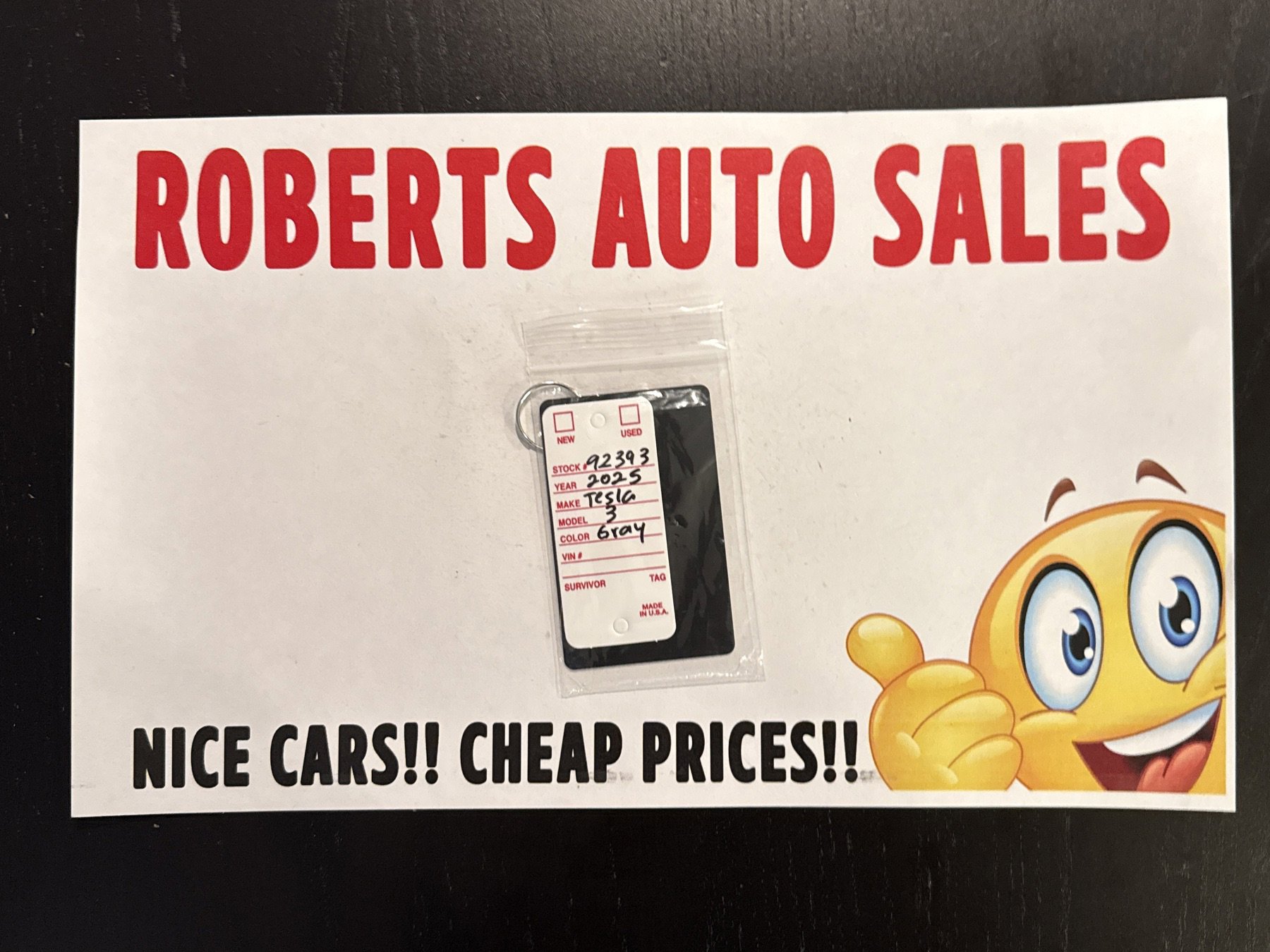 Used 2025 Tesla Model 3 Long Range image 25