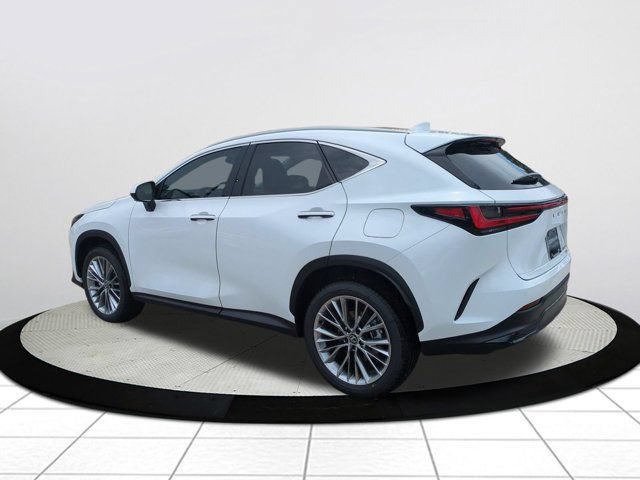 New 2026 Lexus NX 350 AWD w/ Accessory Package (K3) image 6