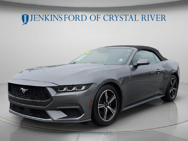 Used 2024 Ford Mustang Premium RWD image 13