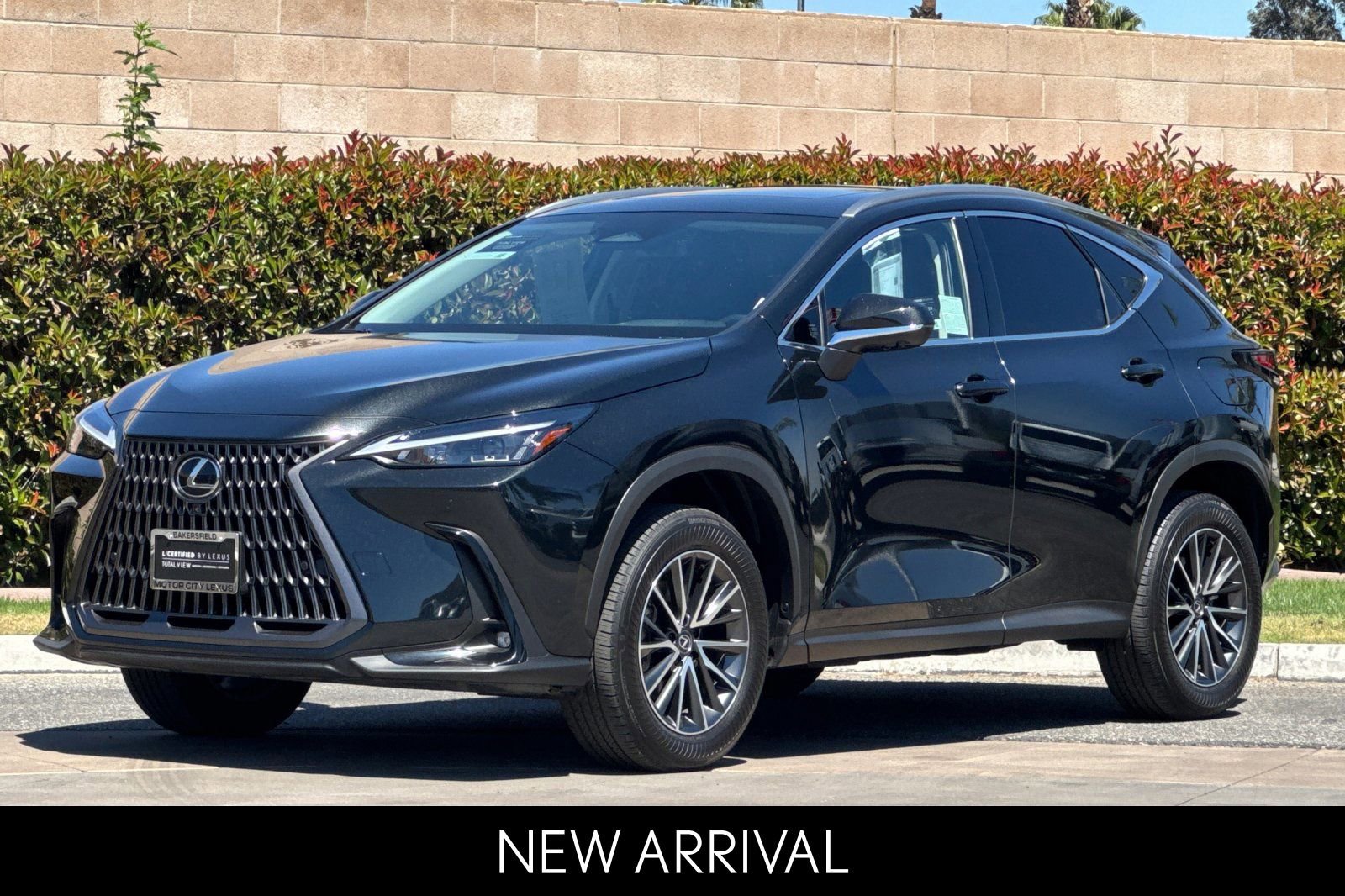 Certified 2025 Lexus NX 350h AWD w/ Cold Area Package image 8