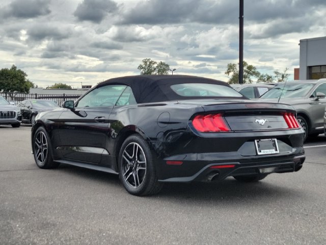 Used 2018 Ford Mustang Premium w/ Equipment Group 201A RWD image 3