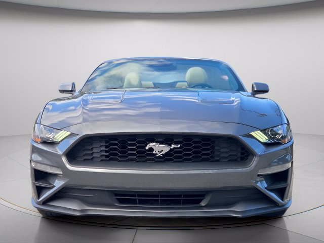 Used 2022 Ford Mustang Premium RWD image 5