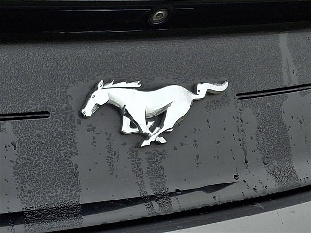 Used 2018 Ford Mustang Premium w/ Ecoboost Performance Package image 30