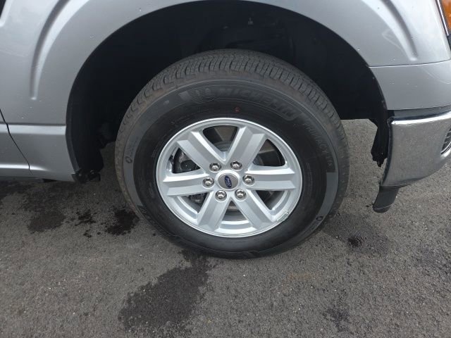 Used 2024 Ford F150 XL w/ Equipment Group 103A High RWD image 4