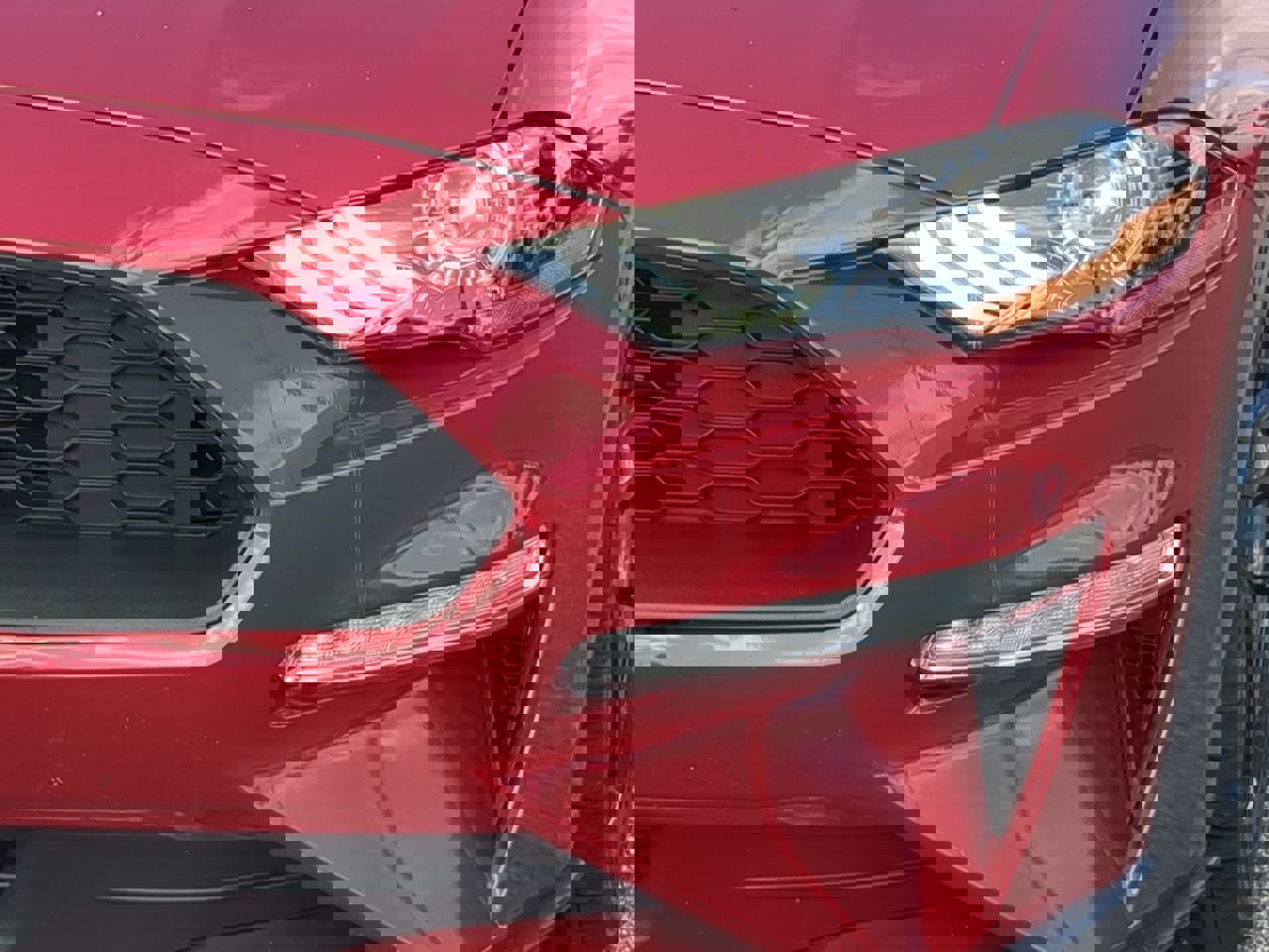 Used 2023 Ford Mustang Coupe w/ Equipment Group 101A image 9