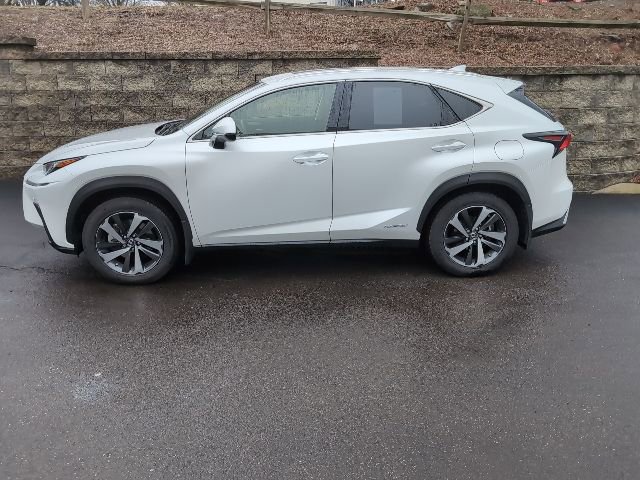 Used 2019 Lexus NX 300h AWD w/ Premium Package image 6