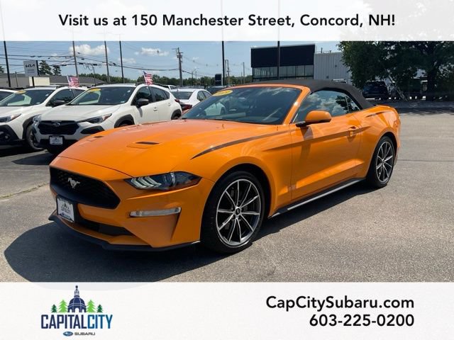 Used 2019 Ford Mustang Premium w/ Equipment Group 201A RWD image 4