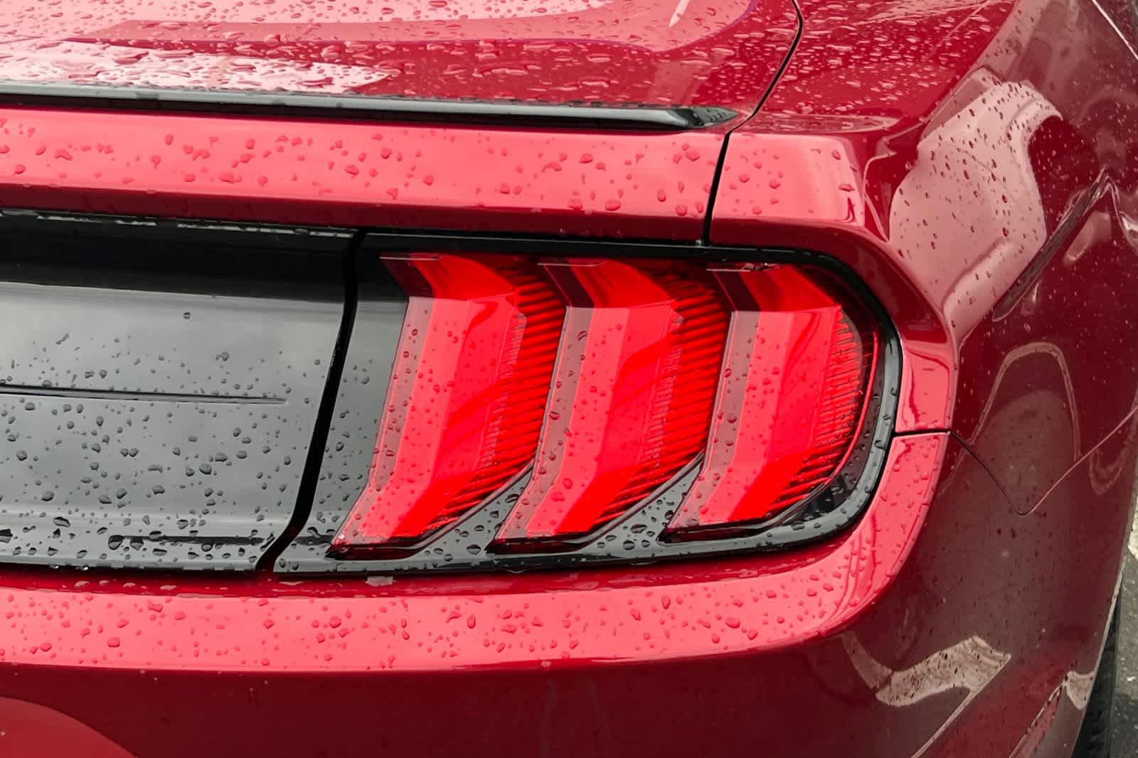 Used 2019 Ford Mustang Premium w/ Equipment Group 201A RWD image 18