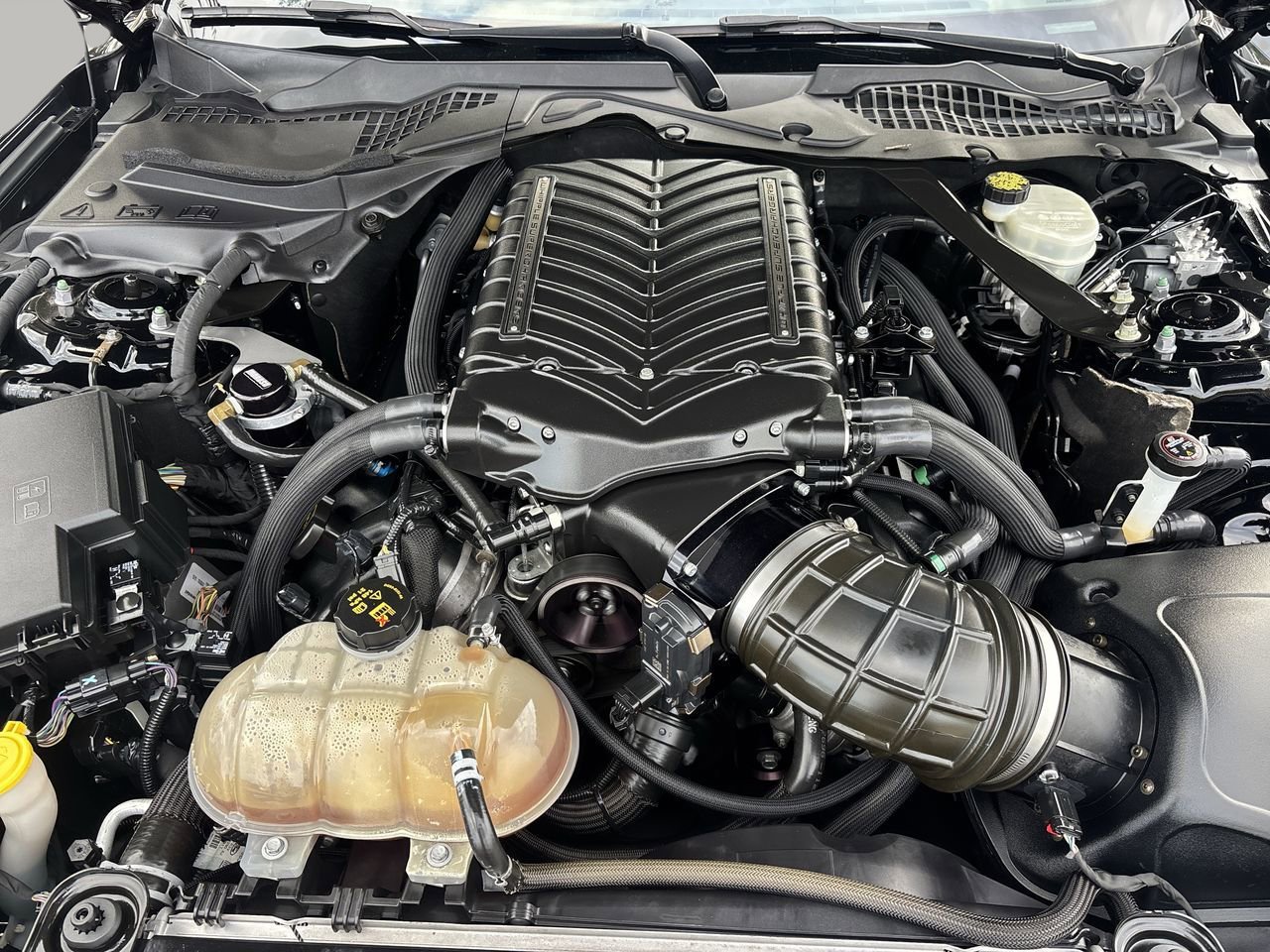 Used 2017 Ford Mustang Shelby GT350 image 10