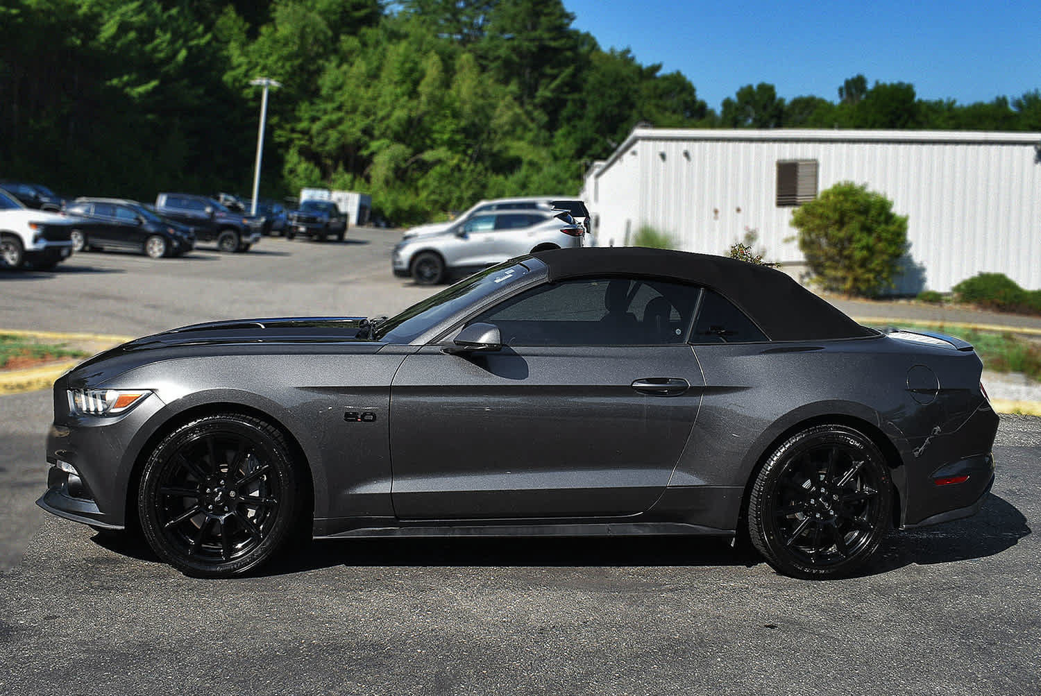 Used 2016 Ford Mustang GT Premium w/ Equipment Group 401A RWD image 5