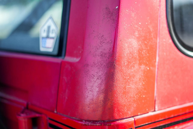 Used 1991 Jeep Wrangler Renegade AWD/4WD image 67