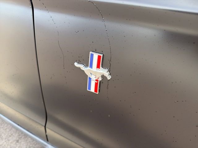 Used 2010 Ford Mustang Premium image 4