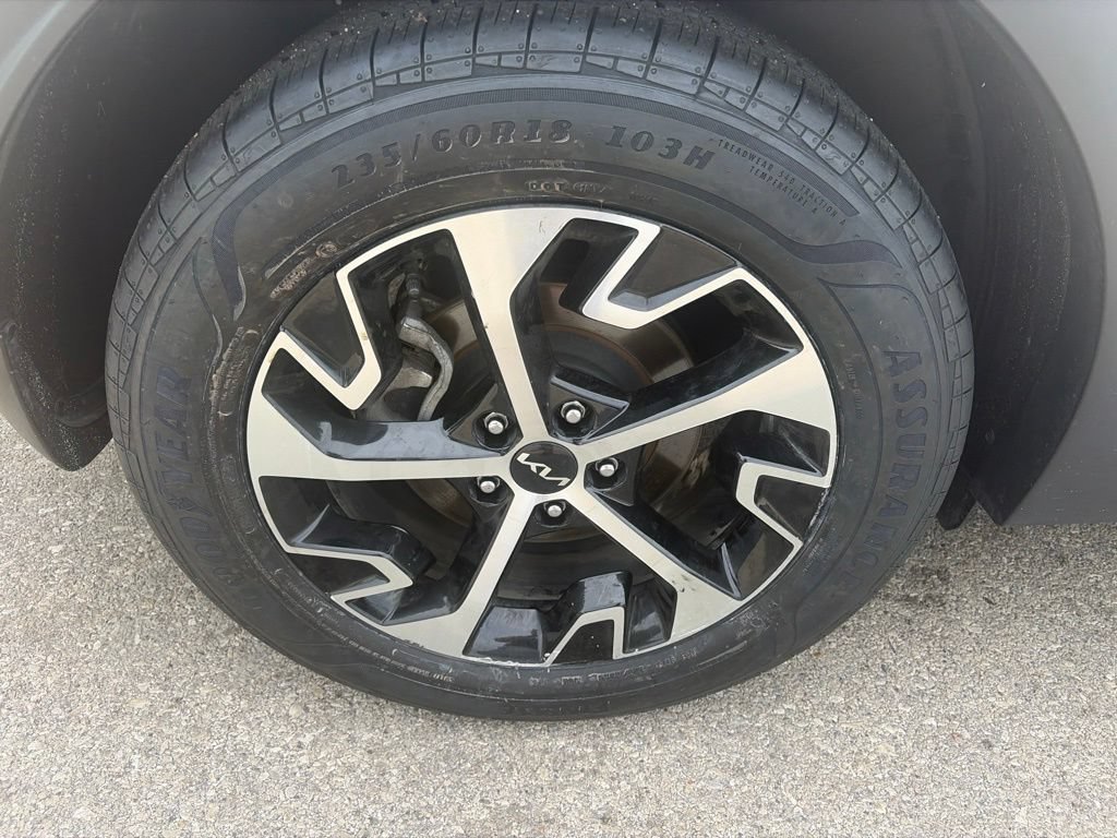 Used 2024 Kia Sportage EX w/ EX Premium Package AWD/4WD image 11