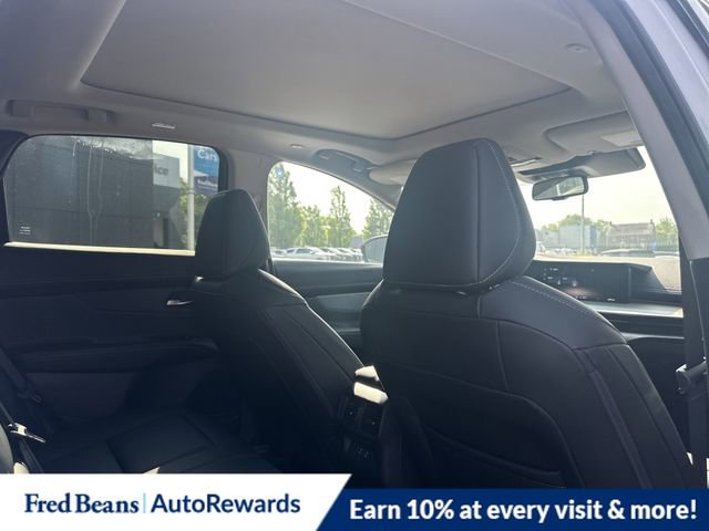 New 2025 Nissan Murano SL image 11