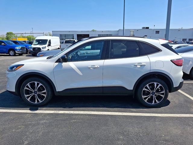 Used 2022 Ford Escape SEL AWD/4WD image 4