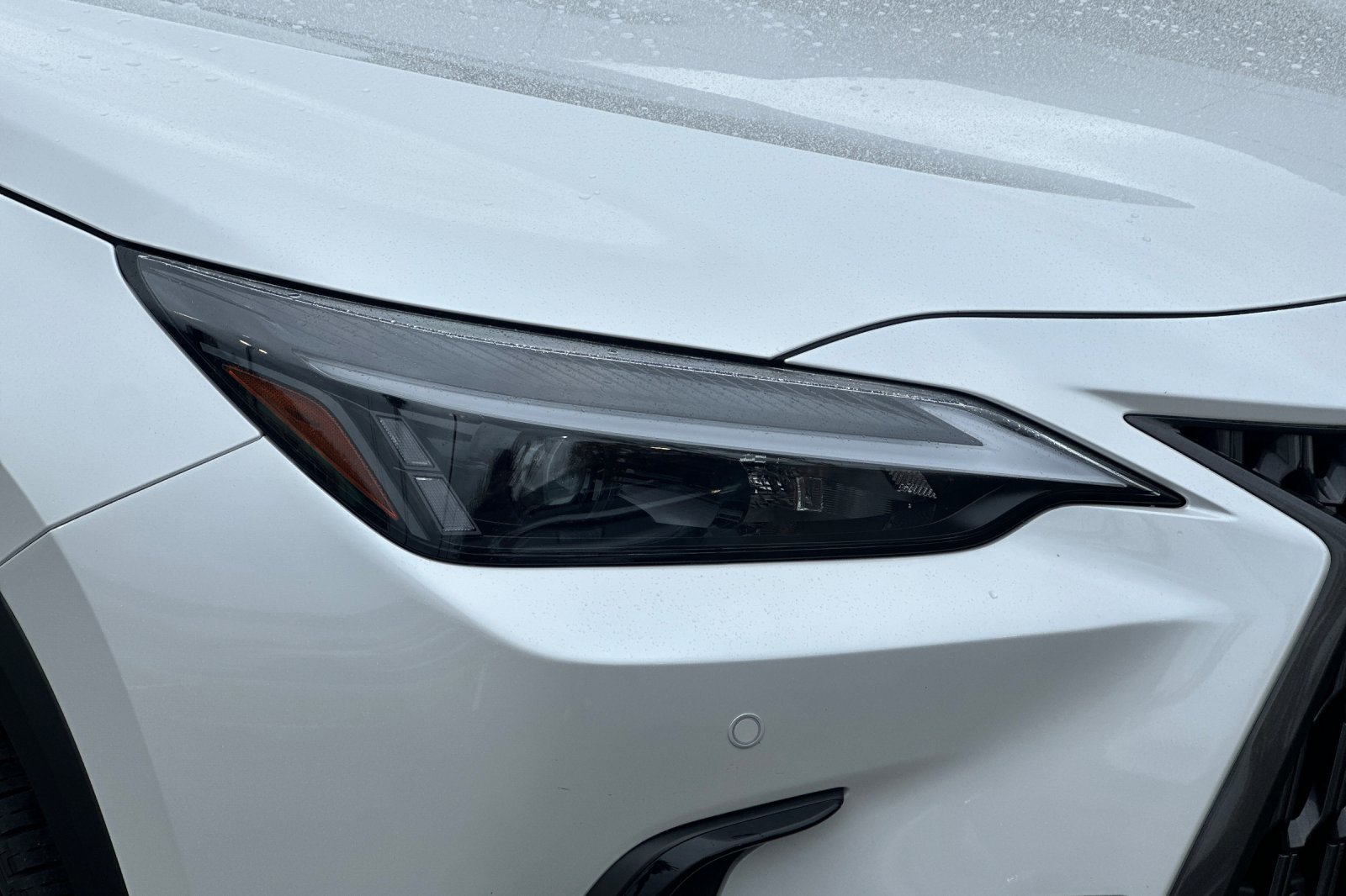 Certified 2025 Lexus NX 350h AWD w/ Premium Package image 10