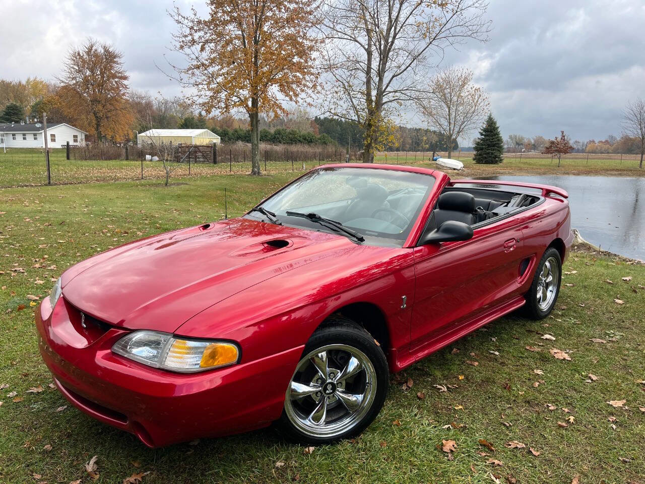 Used 1996 Ford Mustang Cobra image 9