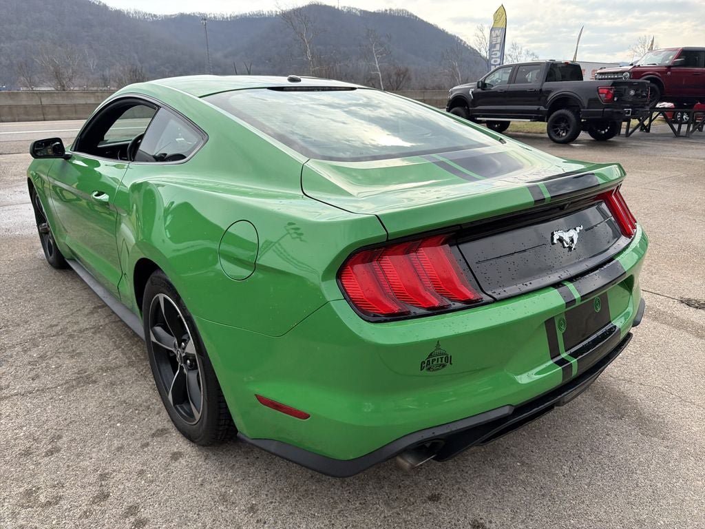 Used 2019 Ford Mustang Coupe RWD image 6
