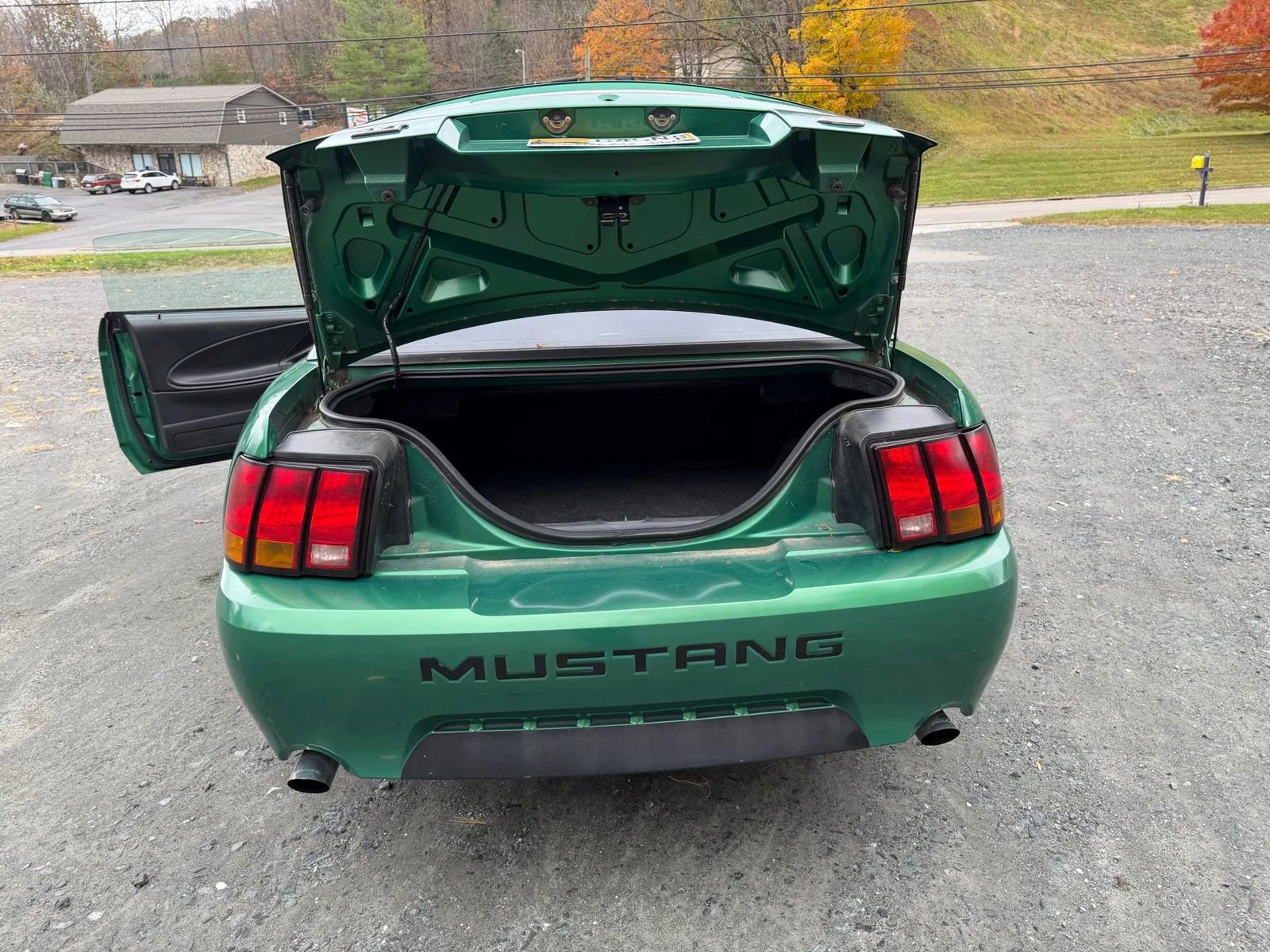 Used 1999 Ford Mustang Cobra image 22