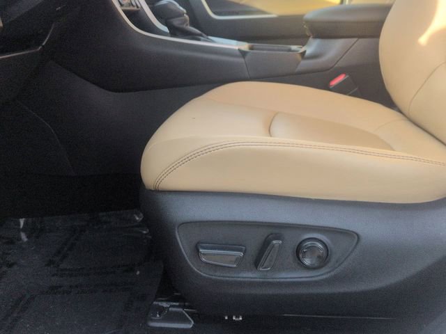 Certified 2025 Toyota RAV4 XLE Premium image 13