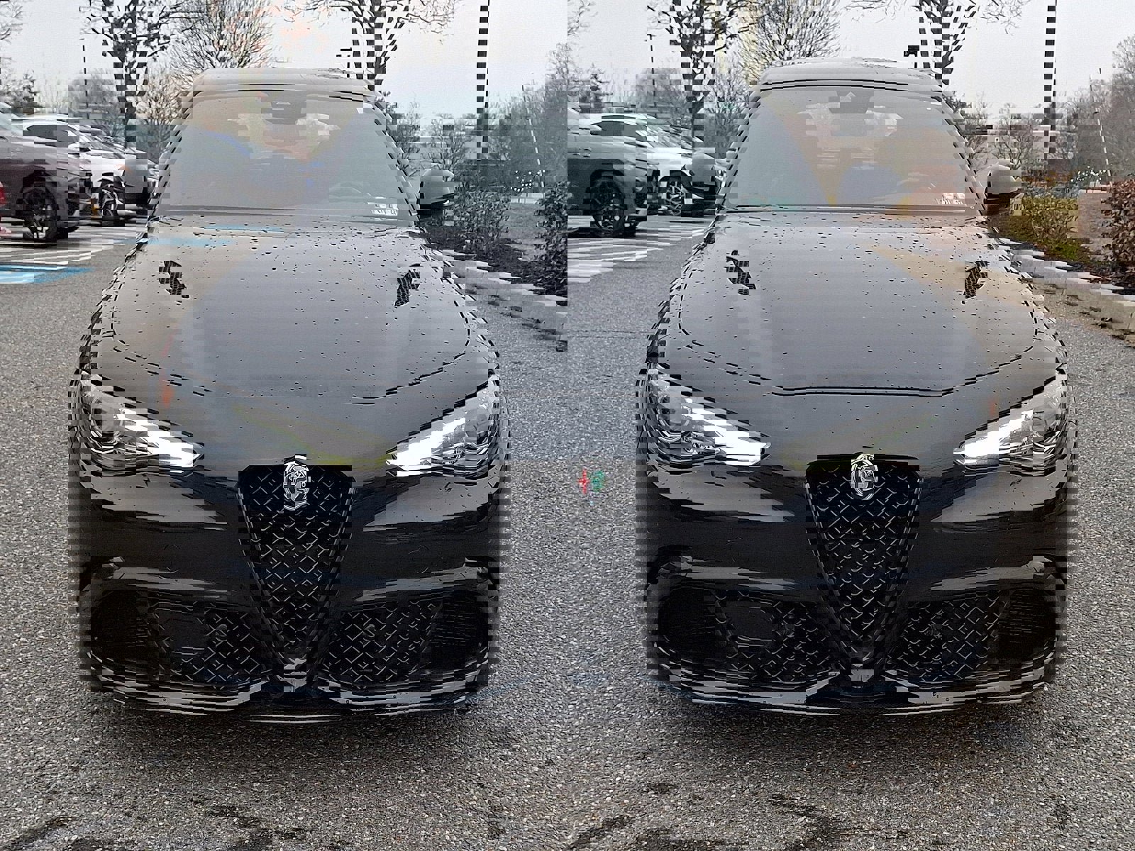 Used 2023 Alfa Romeo Giulia Quadrifoglio w/ Active Assist Plus Package image 2