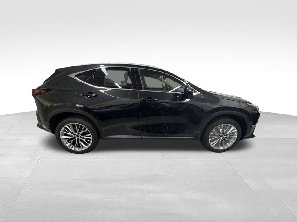 New 2026 Lexus NX 350 AWD w/ Cold Area Package image 9