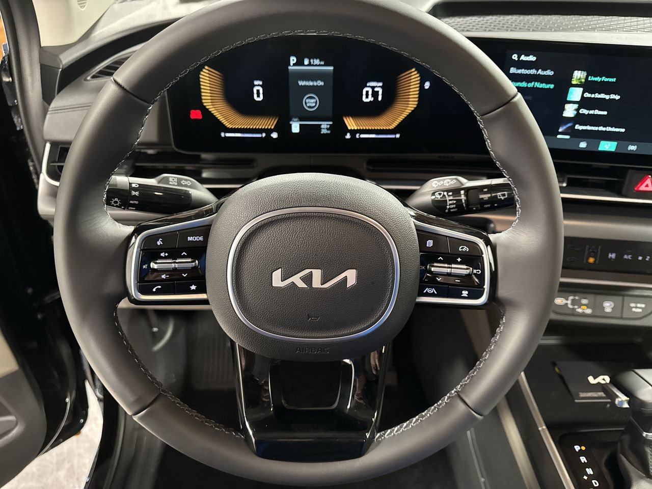 New 2026 Kia Carnival image 22