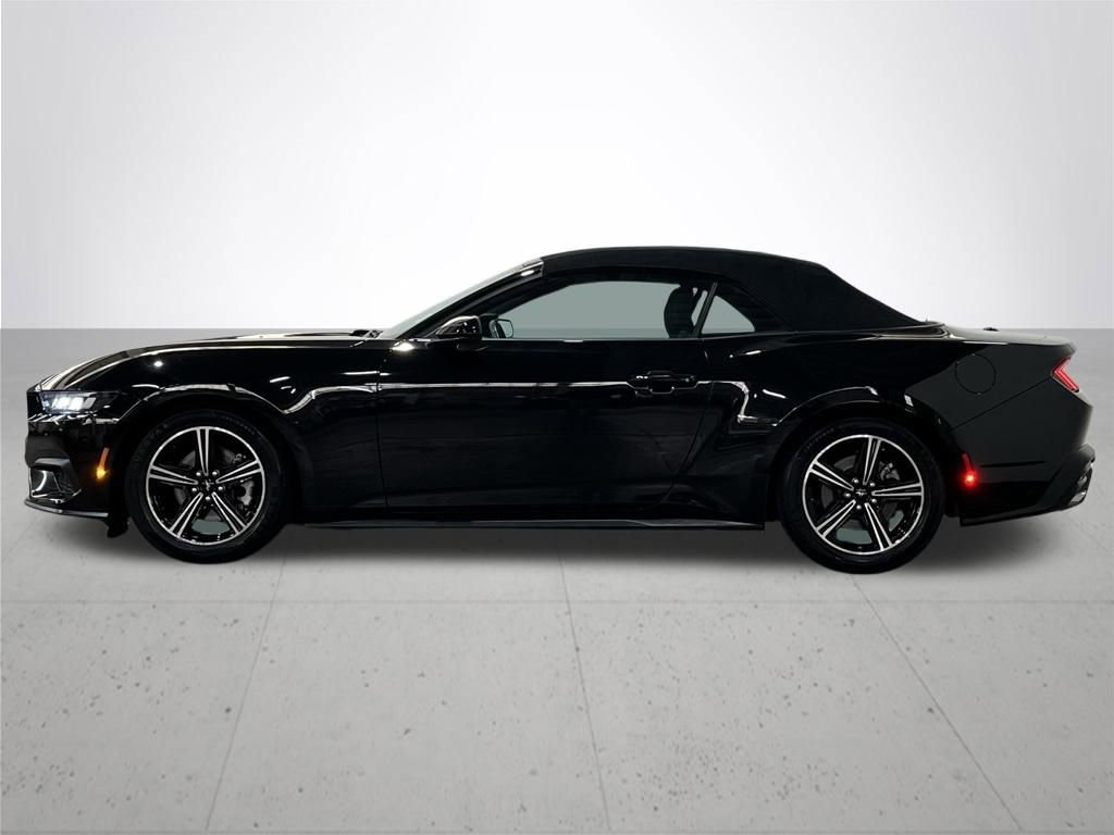 Used 2024 Ford Mustang Convertible RWD image 15