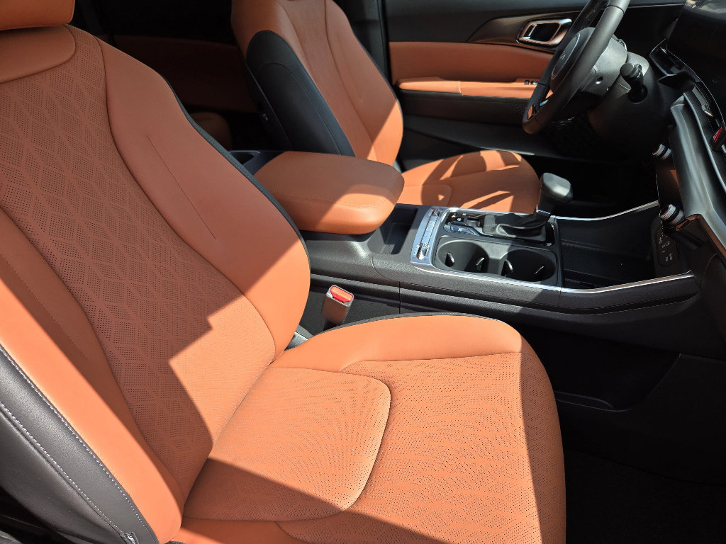 New 2026 Kia Carnival SX image 10