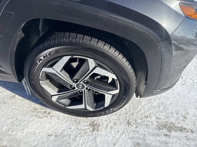 Certified 2024 Hyundai Tucson Limited image 12