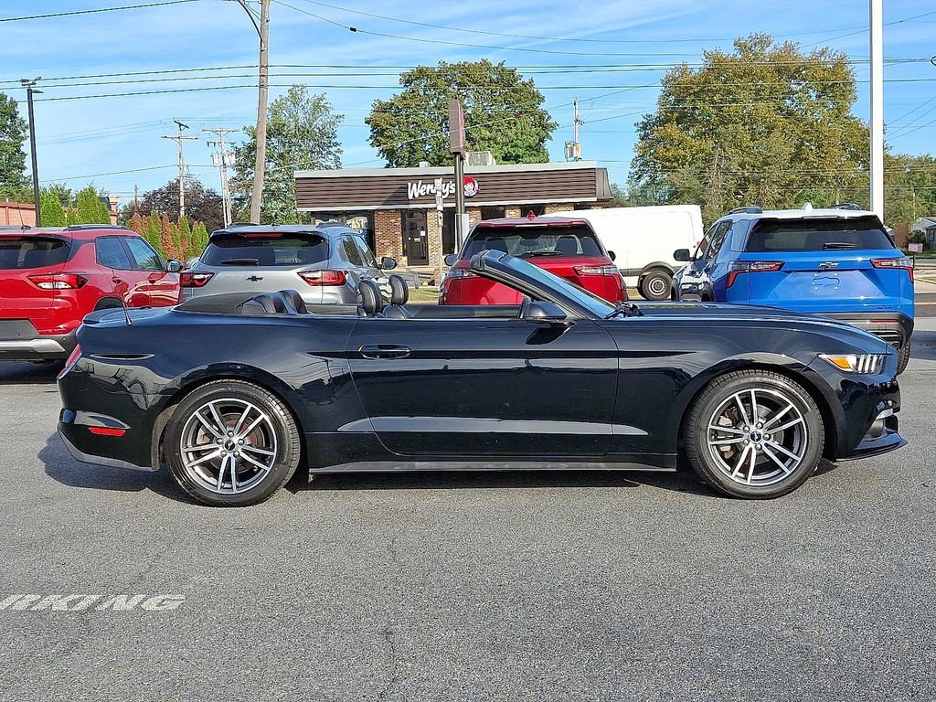 Used 2015 Ford Mustang Premium w/ Equipment Group 201A image 7