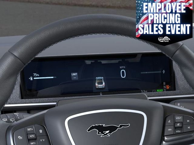 New 2025 Ford Mustang Mach-E GT w/ Interior Protection Package AWD/4WD image 13
