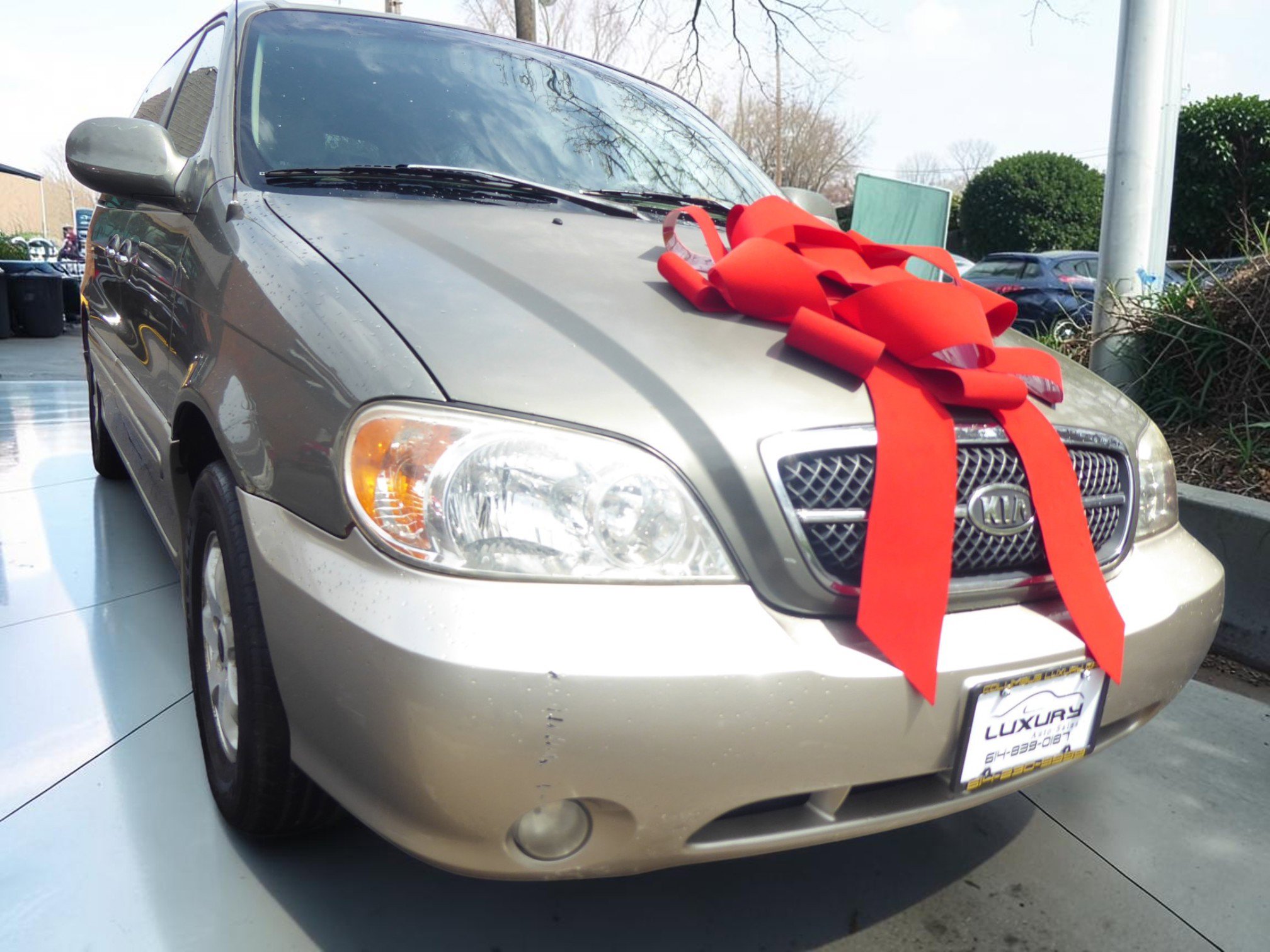 Used 2004 Kia Sedona LX image 3