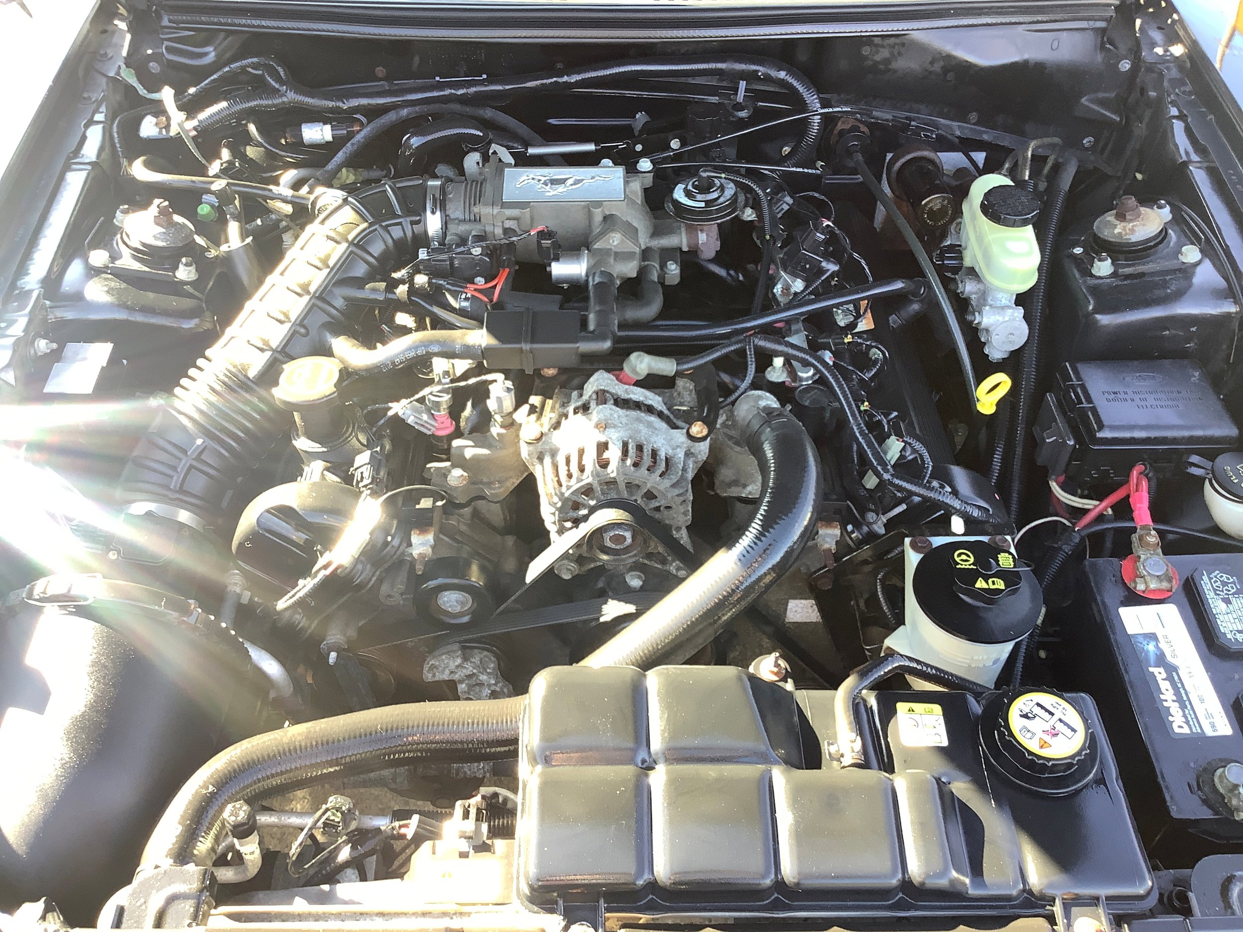 Used 2004 Ford Mustang GT RWD image 17