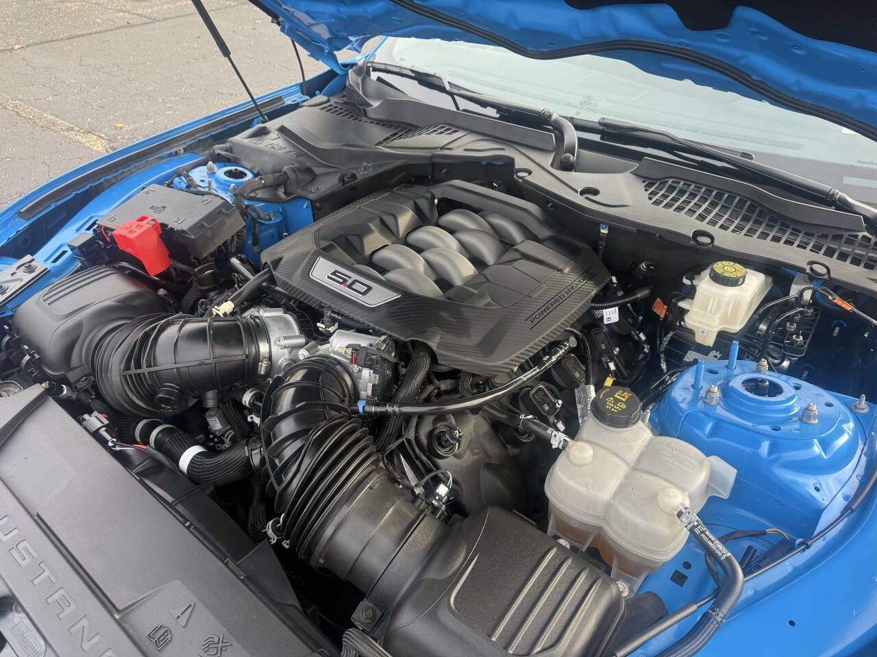 Used 2024 Ford Mustang GT Premium image 13